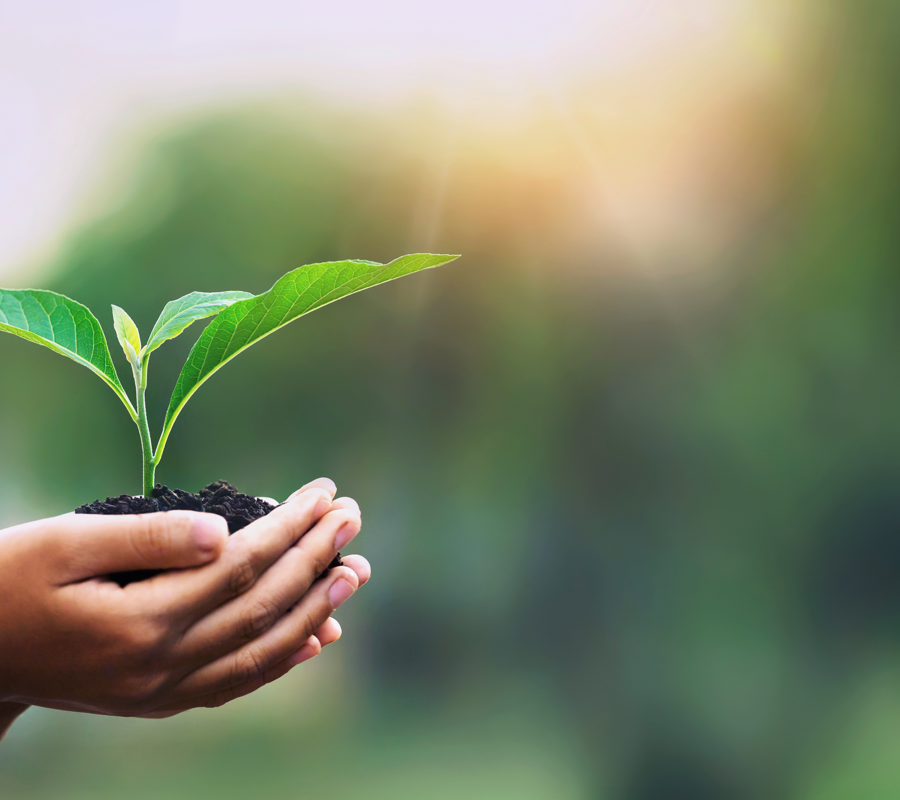 Gettyimages 1208480229 CG