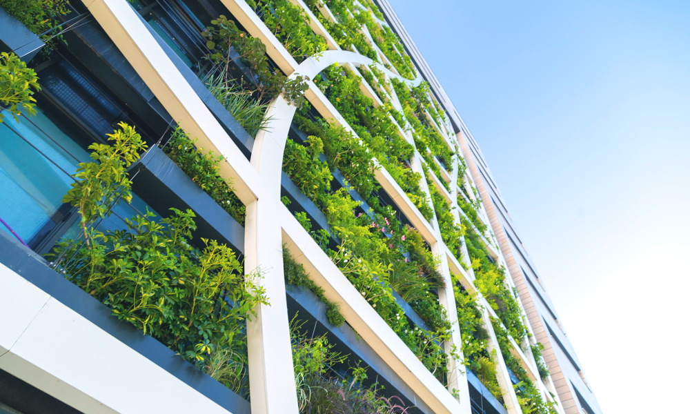 Gettyimages 1165312163 CG